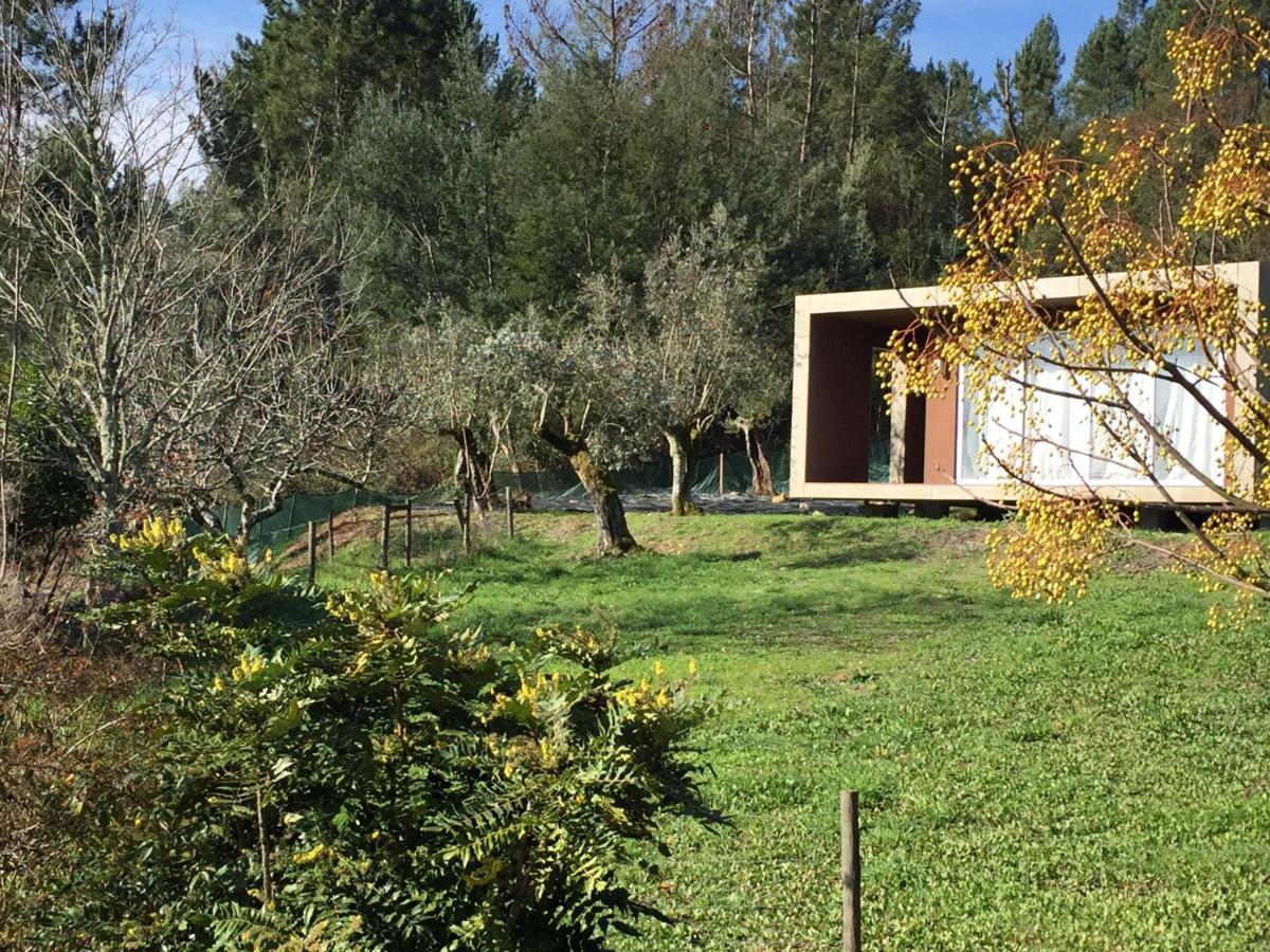 Adore Portugal Bungalow Natureza & Vista De Serra Lousa  Exterior photo